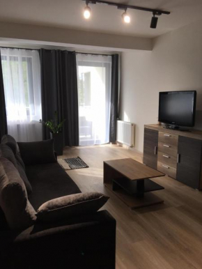 Apartament na Lipskiej